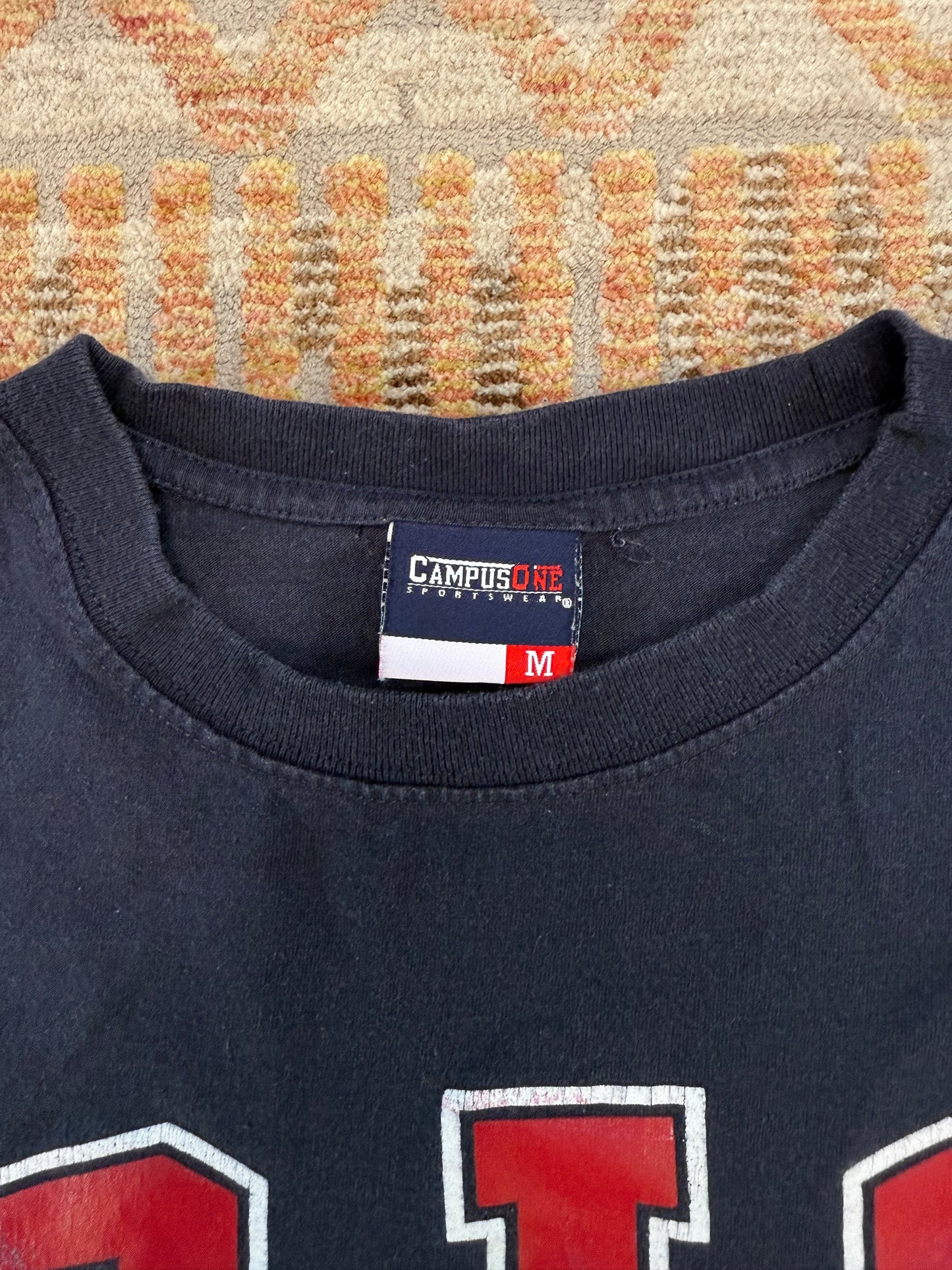 RIC Rhode Island College Tee