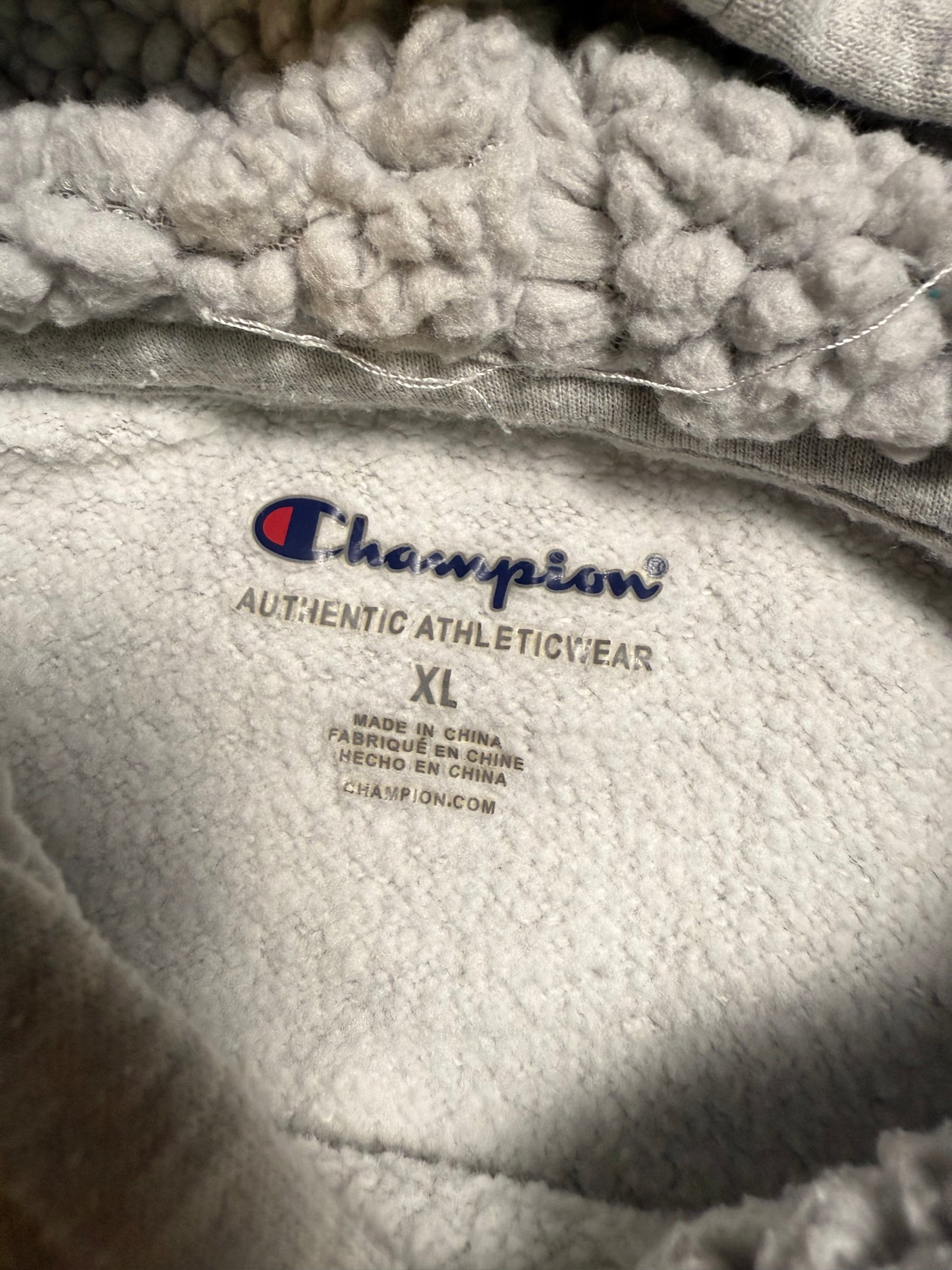 Champion Youth Hoodie