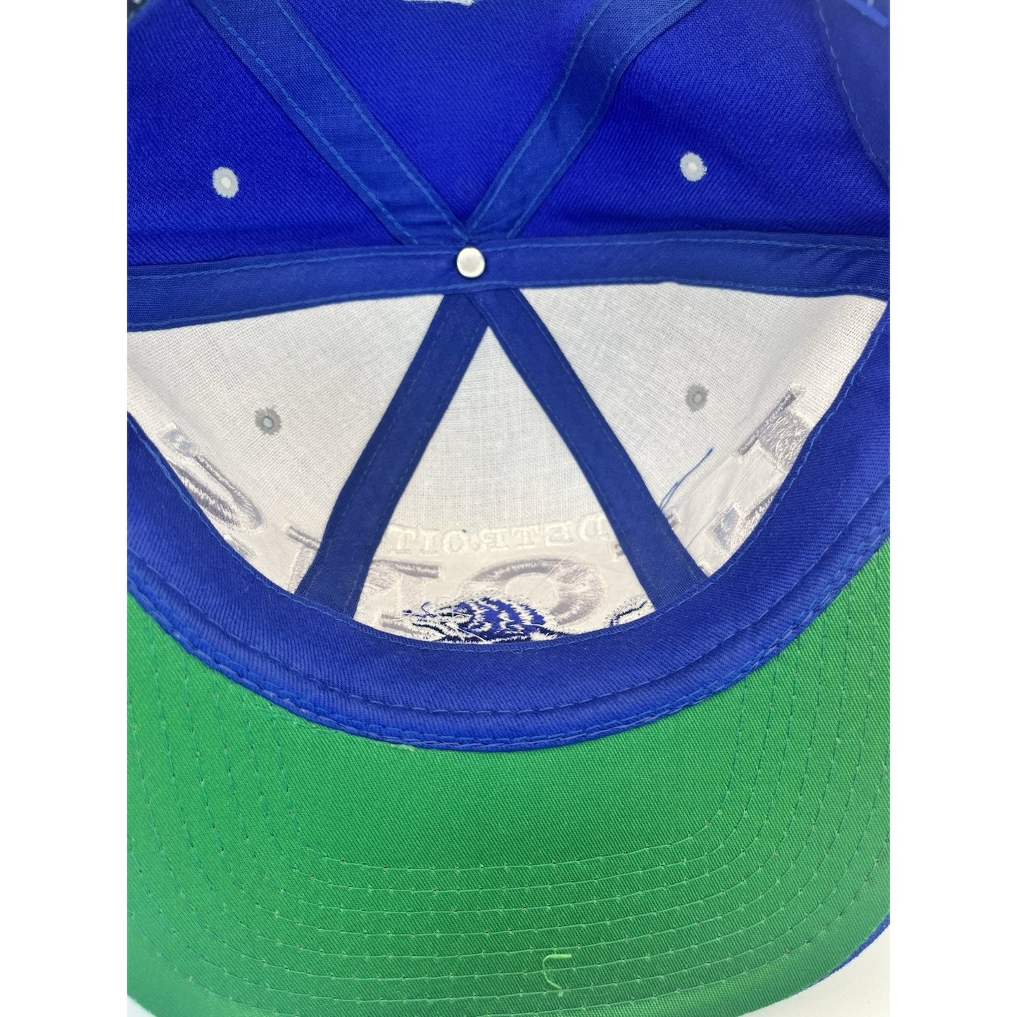 Vintage Detroit Lions Big Logo NFL Tri Power Snapback