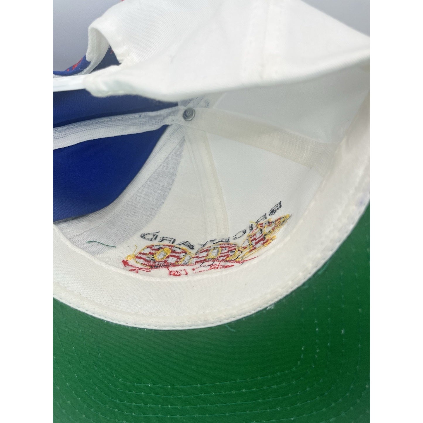 Vintage 1996 Brickyard 400 NASCAR Snapback