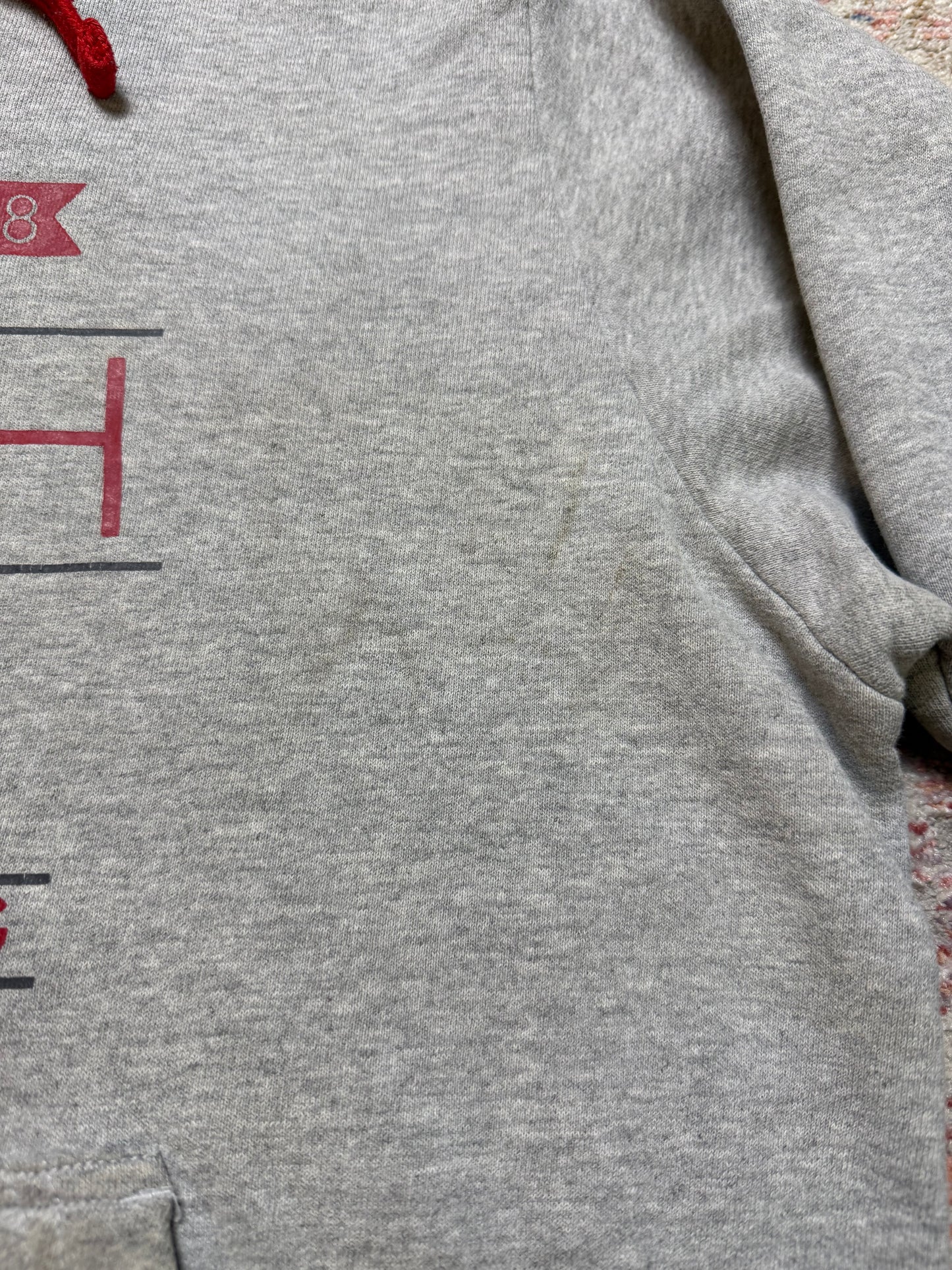 The North Face Never Stop Wandering Hoodie