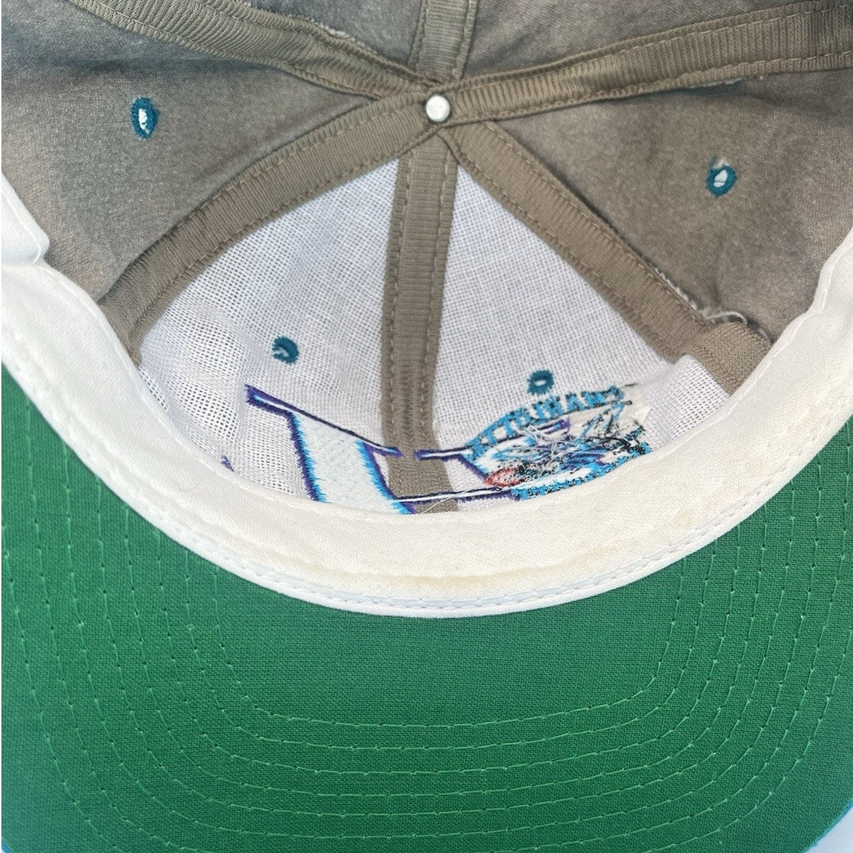 Vintage Limited Edition Charlotte Hornets Snapback