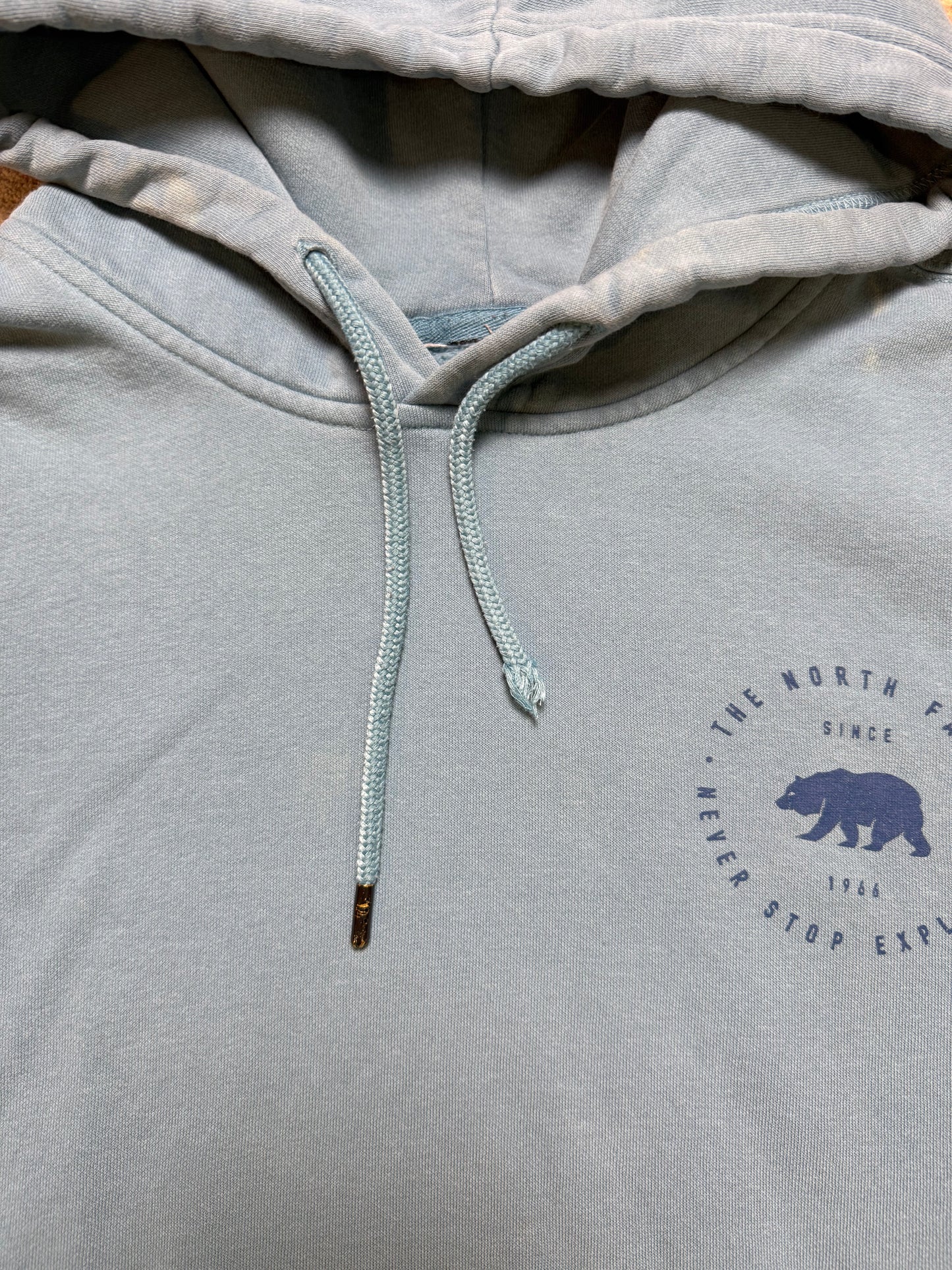 The North Face Hoodie