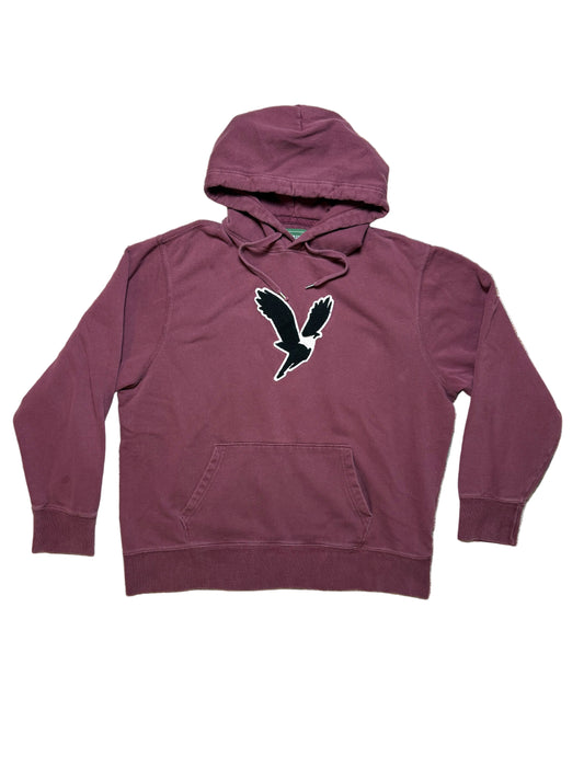 American Eagle Hoodie