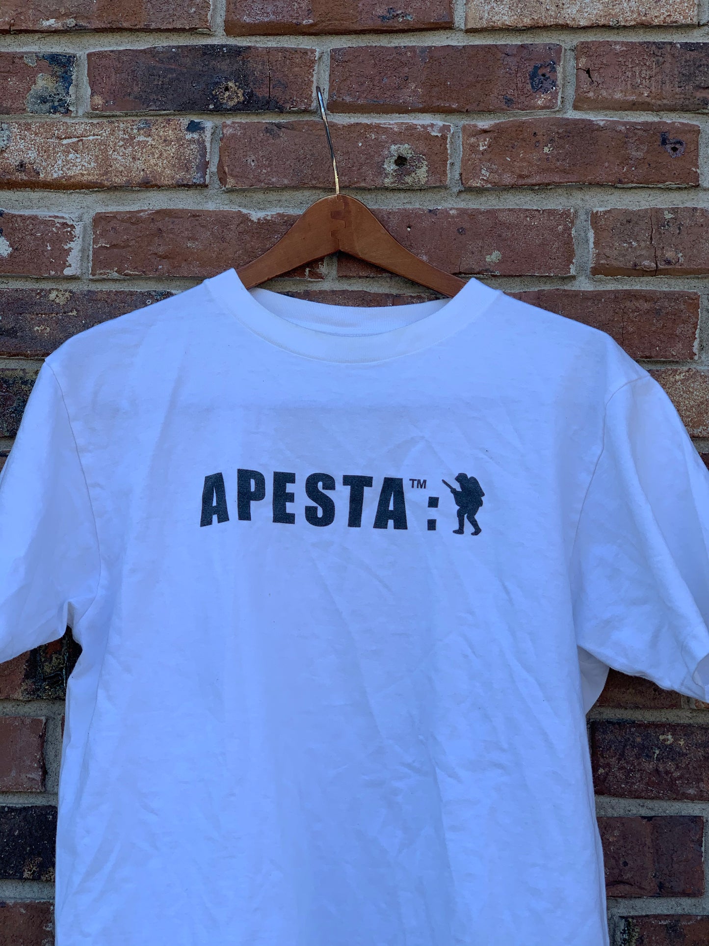 APESTA by BAPE Tee