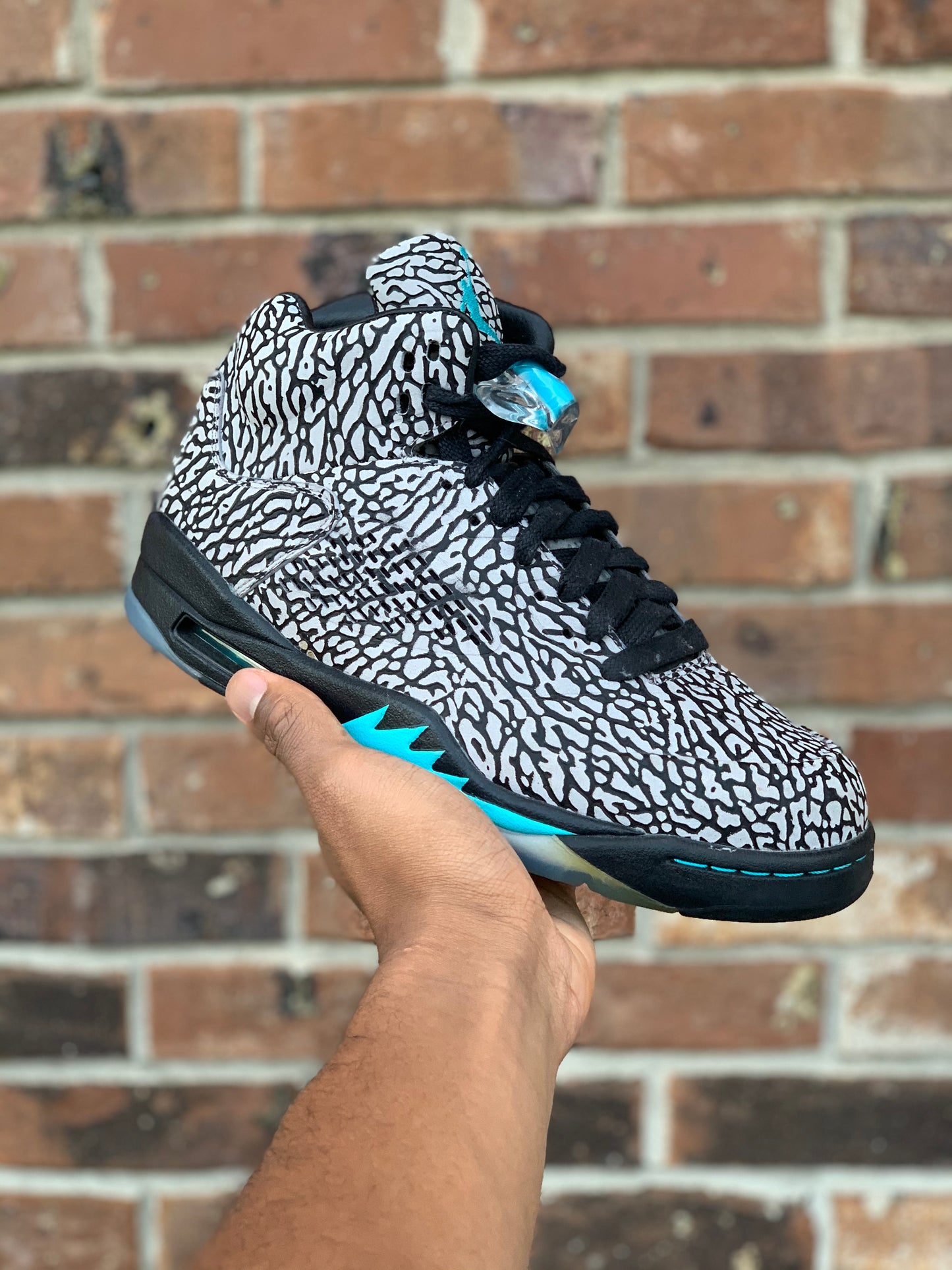 Air Jordan 5 “3Lab5”